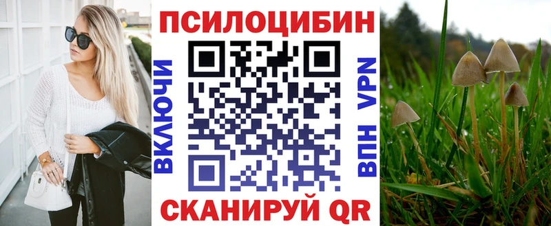 Псилоцибиновые грибы прущие грибы закладки ссылка на мегу рабочий сайт Абаза